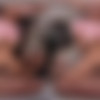 [VRSpy.com] Madison Wilde, Reyna Belle - Absolute Taboo: Wild Belles [08.03.2024, Blowjob, Brunette, Close Up, Cowgirl, Deepthroat, Doggy Style, FFM, Hairy, Handjob, Kissing, Latina, Natural Tits, Pussy Licking, Reverse Cowgirl, Shaved, Small Tits, Virtual Reality, SideBySide, 4K, 1920p, SiteRip] [Oculus Rift / Quest 2 / Vive] thumb
