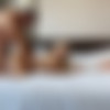 [OnlyFans.com] Sophie Reade & Manuel Ferrara (2023-08-26) [2023, All Sex, Big Ass, Big Tits, Blonde, Blowjob, Bubble Butt, Hardcore, 1080p, SiteRip] thumb