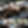 [StasyQ.com][25.10.20] ReutyQ - Set 411 - 1080p & iMAGESET - IMNoob thumb