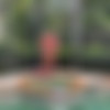 [OnlyFans] Janet Mason – A Stepmothers Taboo Fantasies – Poolside Sex with Tyler [720p] thumb