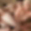 [OnlyTarts.com] Full Siterip | 46 scenes | June 2023 to August 22 2023 | 4k thumb