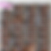 [DigitalPlayground.com] Sabina Rouge, Gia Derza - Naked: Gia & Sabina [2021.02.15 ., Lesbian, 1080p] thumb
