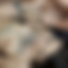 [puzzyfun.com/] Holy Machiavelli (Yes Holy you are so sweet and horny, now you finally get fucked again) [2023-04-18, Blow Job, Gangbang, Older Man Younger Woman] [720p] thumb