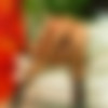 [perfectgonzo.com / milfthing.com] Rita Faltoyano [540p] (01.08.2007) thumb