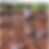 [PrivateStars.com / Private.com] Little Caprice - Dilemma, Read Or Fuck? (20.11.2020) [2020 ., Blowjob, Brunette, Cumshot, Deep Throat, European, Small Tits, Supermodel, Wife, Vaginal Sex, 720p] thumb