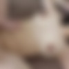 [FC2PPV.net / FC2.com] A very ordinary beautiful housewife suddenly became famous on the internet one day... that triggered a hellish married life. Furthermore, the libido dependence of F cup plump BODY does not stop! [FC2-PPV-3584068][cen] [2023 ., All Sex, Blowjob, Vibrator, Cum in Mouth, 1080p] thumb