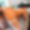 [BBCPie.com] Anissa Kate - French Maid Insemination (19.08.20) [2020 ., All Sex, Blowjob, Creampie, IR, Gonzo, Hardcore, 1080p] thumb