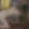 [.puzzyfun.com/] Dörtje (BRAND NEW - Dörtje from Holland, her first creampie gangbang shoot, what a perfect new cum slut) [2020-06-09, Blow Job, Fucking, Orgy] [720p] thumb