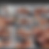 Nicolette Shea Pack (720p HEVC) thumb