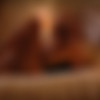 The Platinum Collection: Sex With Sandra Shine /  :     (Viv Thomas, Viv Thomas) [2009 ., Masturbation, Lesbian, DVD9] (Sandra Shine, Eve Angel, Mya Diamond, Lisa, Stella Stevens, Vera, Sophie Moone) thumb