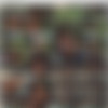 [Twistys] April TOTM Backwoods Babe - Hazel Grace [1080p] thumb