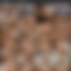 Larissa Leite (58 ) Pack (Leticia, Leticia Leite) [2021-2023, Anal, Creampie, DAP, DP, Gangbang, Swallow, Big Tits, MILF, DPP (DVP), TP] thumb