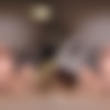[XSinsVR.com / SinsVR / SexLikeReal.com] Fibi Euro, Sladyen Skaya - Sharing Valentine Is Caring [14.02.2024, Blonde, Blow Job, Close Ups, Cowgirl, Cumshots, Czech, Doggy Style, FFM, Hardcore, Missionary, Pierced Nipple, POV, Reverse Cowgirl, Shaved Pussy, Tattoo, Threesome, Valentine's Day, Virtual Reality, SideBySide, 7K, 3584p, SiteRip] [Oculus Rift / Quest 2 / Vive] thumb