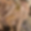 [CorbinFisher.com] Alex & Ellis’ Bi Tag Team [1080p] thumbnail