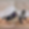 [TmwVRNet / SexLikeReal.com] Jadilica - Satisfying A Lonely Cutie [26.03.2024, Age Play, Blow Job, Brunette, Cowgirl, Cum In Mouth, Doggy Style, Hardcore, Long Hair, Missionary, POV, Reverse Cowgirl, Shaved Pussy, Small Tits, Virtual Reality, SideBySide, 7K, 3584p, SiteRip] [Oculus Rift / Quest 2 / Vive] thumb
