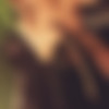 reddit user LittleMissMakeMe [Amateur] [ 640*480  2592*1944, 30 ] thumb