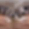 [XSinsVR.com / SinsVR / SexLikeReal.com] Massy Sweet - Petite Girl Massage [22.01.2024, Brunette, Close Ups, Cowgirl, Cumshots, Doggy Style, Face Pierced, Hand Job, Hardcore, Massage, Missionary, Petite, POV, Reverse Cowgirl, Shaved Pussy, Slim, Small Tits, Tattoo, Teen, Young, Virtual Reality, SideBySide, 7K, 3584p, SiteRip] [Oculus Rift / Quest 2 / Vive] thumb
