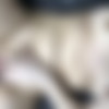 reddit user Silverscripted [Amateur] [ 1359*1122  3088*2320, 45 ] thumb