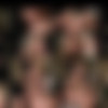 THR3E DORCEL.2023 .2160p thumb