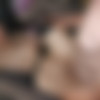 [puzzyfun.com] Creampie Sofi (Go Sofi off in the love swing, now your asshole is really fucked) [2022-11-20, Anal Sex, Fucking, Gangbang] [720p] thumb