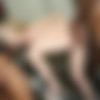 [BlacksOnBlondes.com / DogFartNetwork.com]Angel Smalls[2016 ., Gonzo IR Anal Gang Bang DP, 720p] thumb