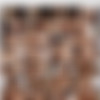 Deeper - 2024-04-11 - Alex Grey - The System 2160p.mp4 thumb