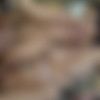 [21EroticAnal.com / 21Naturals.com] Jessy Jey aka Jessy Jane - Office Romance (12.02.2021) [2021 ., Anal, Blowjob, Lingerie, Babes, Black Hair, Cumshot, Ass To Mouth, Cum Swallow, Deepthroat, Rimming, Fingering, 1080p] thumb