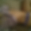 reddit user MRgrs [Amateur] [ 1024*768  2592*1752, 64 ] thumb