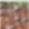 [PrivateStars.com / Private.com] Little Caprice (LITTLE CAPRICE’S DILEMMA, READ OR FUCK?) 4K [2020-11-20, Blowjob, Deep throat, Small Tits, Hardcore, Cumshot, 2160p] thumb