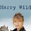 Harry Wild S03E04 1080p WEB H264-DiMEPiECE thumb