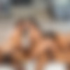 [BLACKED] Abella Danger & Keisha Grey & Karlee Grey - Squad Goals (11/1/16) [1080p] thumb