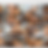 Transgirls on Top - Megapack thumb