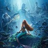 The Little Mermaid 2023 1080p BRRip DDP 5 1 H 265 -iVy thumb
