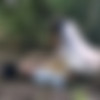 [Bride4k.com / Vip4K.com]Zaawaadi ( Forest Of Wonders And Inescapable Lust)[2023 ., Gonzo, Hardcore ,All Sex, POV 1080p] thumb