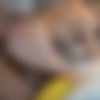 [MyDirtyHobby] Lara-CumKitten - Im Gummistiefel Paradies gefickt thumb