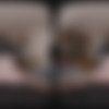 [VRConk.com] Hazel Moore - The Hunger Games: Katniss Everdeen (VR Porn Parody) [09.02.2024, Big Natural Tits, Blowjob, Boots, Braided Ponytail, Brunette, Closeup Missionary, Cosplay, Cowgirl, Cross Legged Missionary, Cum On Stomach, Cum On Tits, Doggy Style, Hairy Pussy, Handjob, Missionary, Movie, Natural Tits, Outdoor, Parody, Partially Clothed, Pov, Redhead, Reverse Cowgirl, Ripped Pants, Virtual Reality, SideBySide, 4K, 1920p, SiteRip] [Oculus Rift / Quest / Vive] thumb