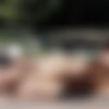 [VivThomas.com] Cherry Kiss & Nicole Smith - Poolside Attraction [2021.05.28, Lesbian, Barefoot, Bikini, Blonde, Breasts, Brunette, 69, Fingering, Indoors, Kitchen, Outdoors, Pierced, Striptease, Tattoo, 720p] thumb