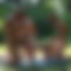 [WTFpass] Hardfucktales.com - Natalia Illarionova AKA Monica Belluci - Super Star of Anal Fuck (720p) thumbnail