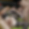 [puzzyfun.com] Amyyy Oxxo (Wow how horny is sweet hottie Amyyy for cum and cocks, so horny a performer crash off the bed) [2023-09-13, Blow Job, Gangbang, Older Man Younger Woman] [720p] thumb