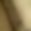[ExploitedTeens.com] Dillion Harper 12.10.26 [2012 ., POV, Teen, All Sex] thumb