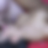 [puzzyfun.com] Julia de Lucia (Julia de Lucia, back after 13 years, what an extreme cum orgy) [2023-11-01, Blow Job, Gangbang, Older Man Younger Woman] [720p] thumb