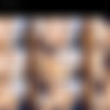 [OnlyFans.com] @jellygrave SiteRip (32 Videos & 278 Photos) thumb