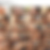 [Trans500.com] Bruna Butterfly / Big Booty Bruna - Remastered 2015 (Bruna's Big Badonk) [1080p] thumb