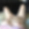 reddit user curvyjune [Amateur,Posing,Masturbation,Solo,Toys] [ 720*480  2315*2045, 199] thumb