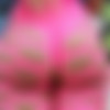 [New Sensations] - Church Of Bootyism #3 - Anikka Albrite - Nov 15, 2013 - [360p] thumb