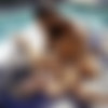 [Onlyfans.com] Cheerleader Kait - Splash Boys [2023-09-17, Amateur, BBC, Bikini, Cumshot, DPP, Deep Throat, Hardcore, Interracial, Natural Tits, Petite, Straight, Threesome (MMF), 1080p, SiteRip] thumb