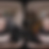 [VRConk.com] Hazel Moore - The Hunger Games: Katniss Everdeen (VR Porn Parody) [09.02.2024, Big Natural Tits, Blowjob, Boots, Braided Ponytail, Brunette, Closeup Missionary, Cosplay, Cowgirl, Cross Legged Missionary, Cum On Stomach, Cum On Tits, Doggy Style, Hairy Pussy, Handjob, Missionary, Movie, Natural Tits, Outdoor, Parody, Partially Clothed, Pov, Redhead, Reverse Cowgirl, Ripped Pants, Virtual Reality, SideBySide, 8K, 4096p, SiteRip] [Oculus Rift / Quest 2 / Vive] thumb