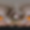 [XSinsVR.com / SinsVR] Holly Sinn - Anal Delight [2023-04-11, Anal, Babe, Leggy, Busty, Enhanced boobs, POV, English speaking, Teasing, Doggy Style, Blowjob, VR - Virtual-Reality, Doggy, Missionary, Cowgirl, Cum in mouth, Missionary, 7K, SideBySide, 3584p, SiteRip] [Oculus Rift / Vive] thumb