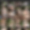 Sophia Traxler (13 ) Pack [2019, Anal, Big Tits, Facial, Teen] thumb