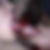 [sperma-studio.com / spermastudio] Elina Flower (Elina wants sperm / 01/04/2017) [2017 ., blowjob, cumshot, big tits, creampie, facial, gangbang, natural tits, oral, 1080p] thumbnail